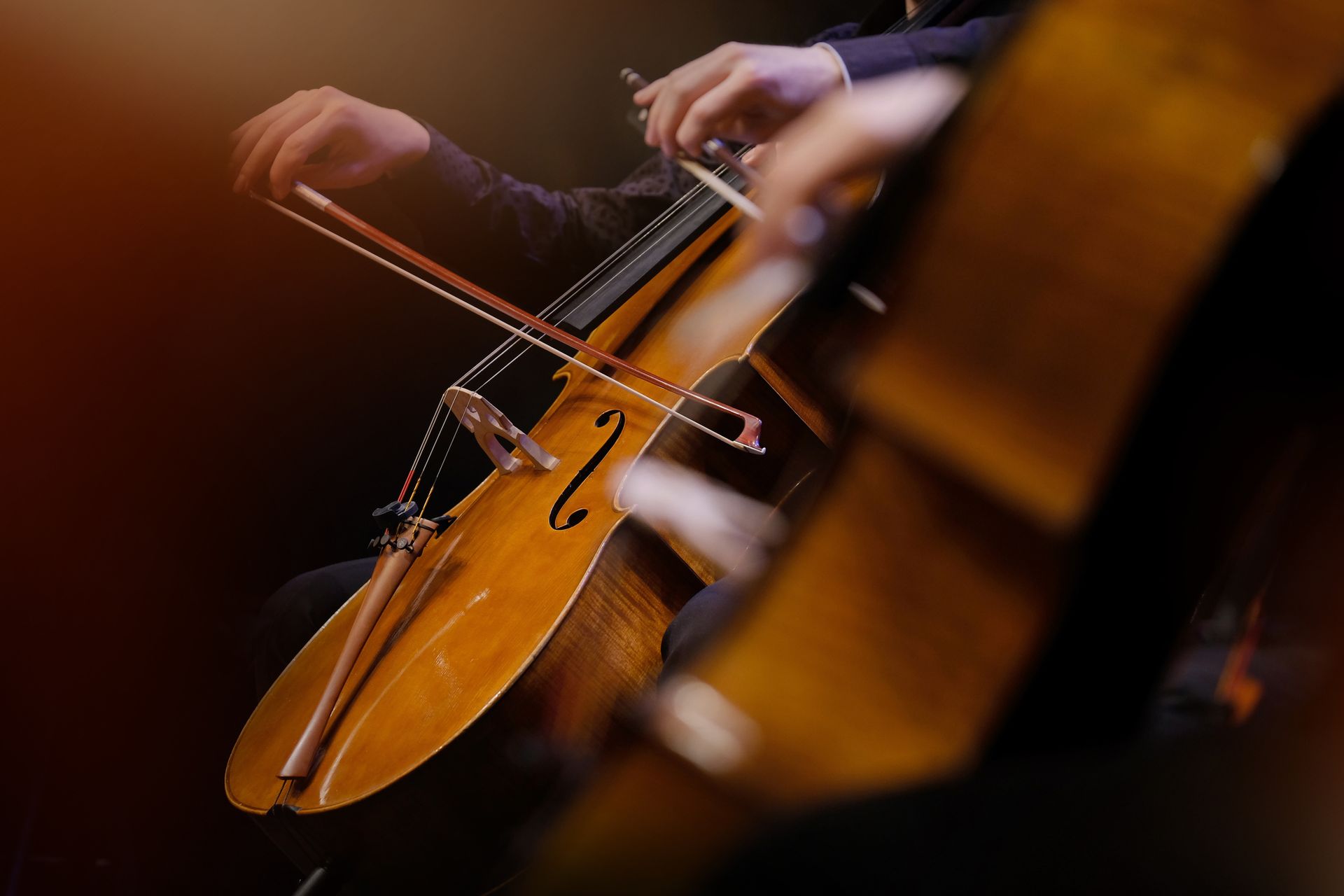 String Musicans for Hire