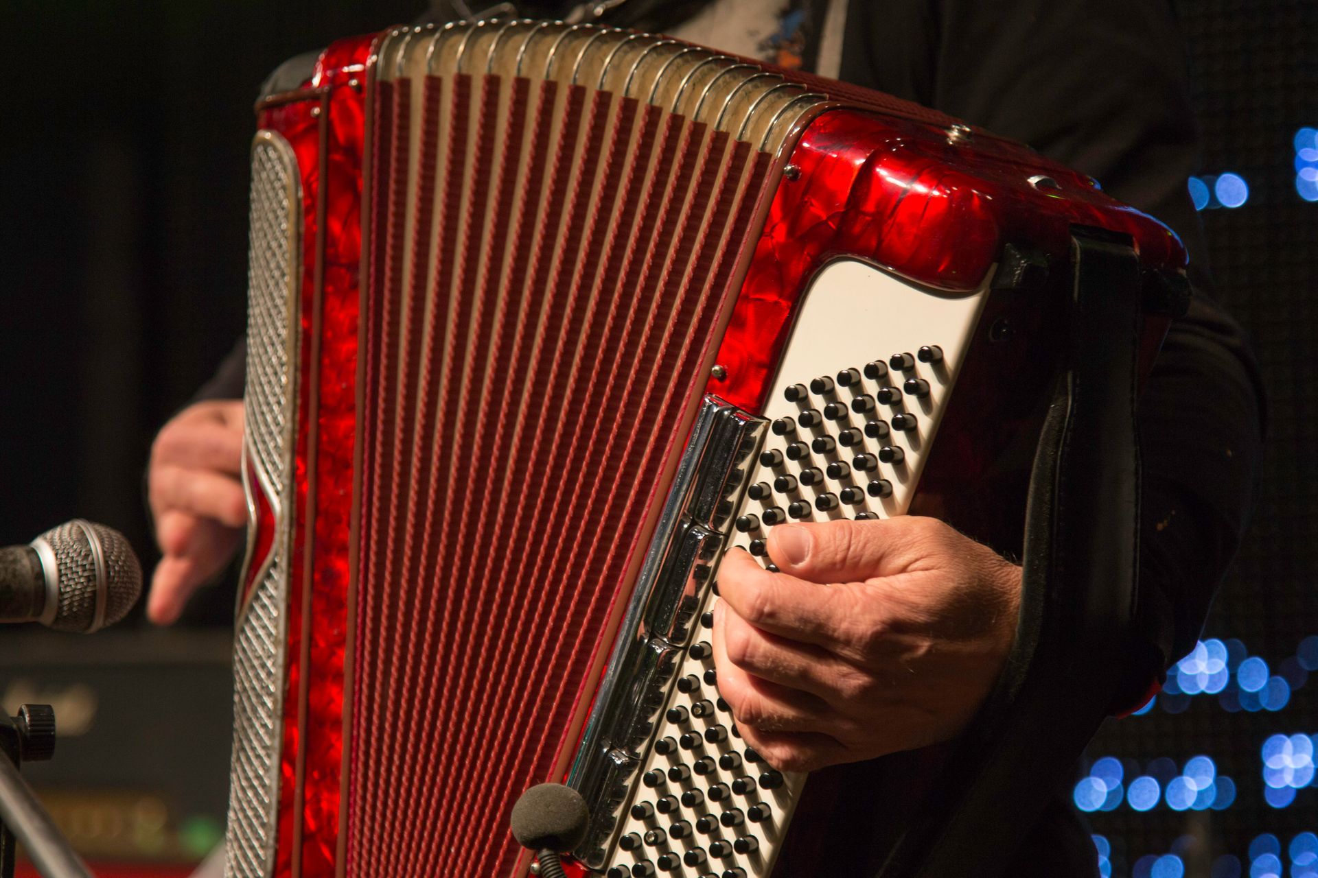 Accordionists