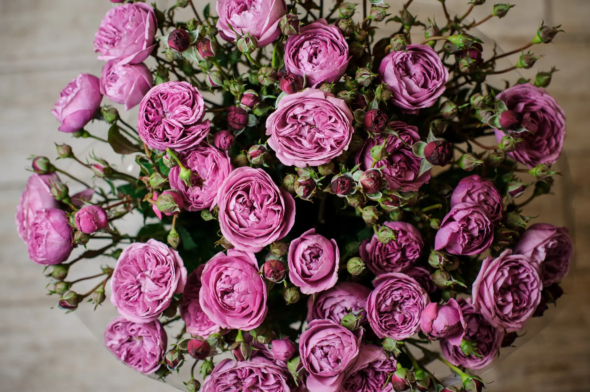 Send Flowers