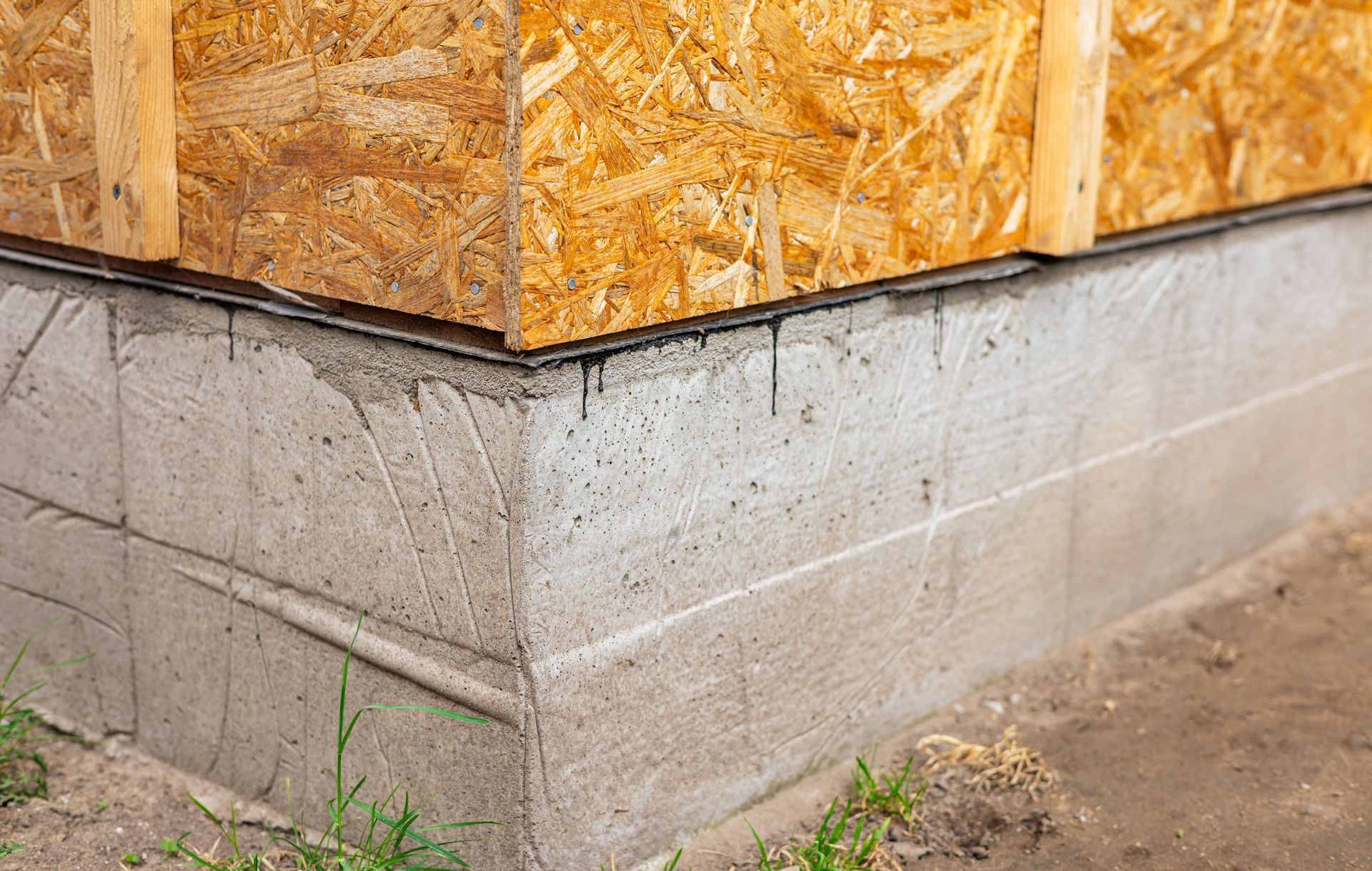 Concrete foundation beneath unfinished plywood house wall Concrete foundation beneath unfinished plywood house wall