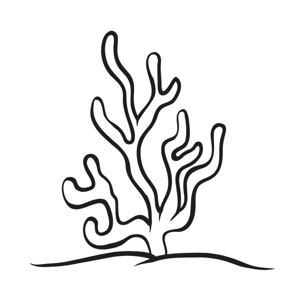 A black and white drawing of a coral on a white background.