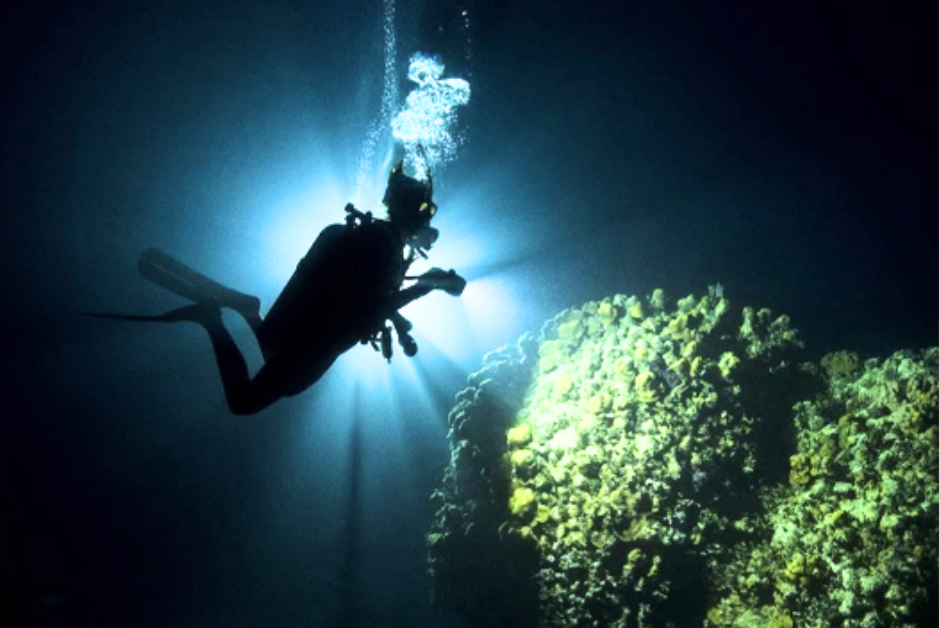 A scuba diver is swimming in the ocean near a coral reef.