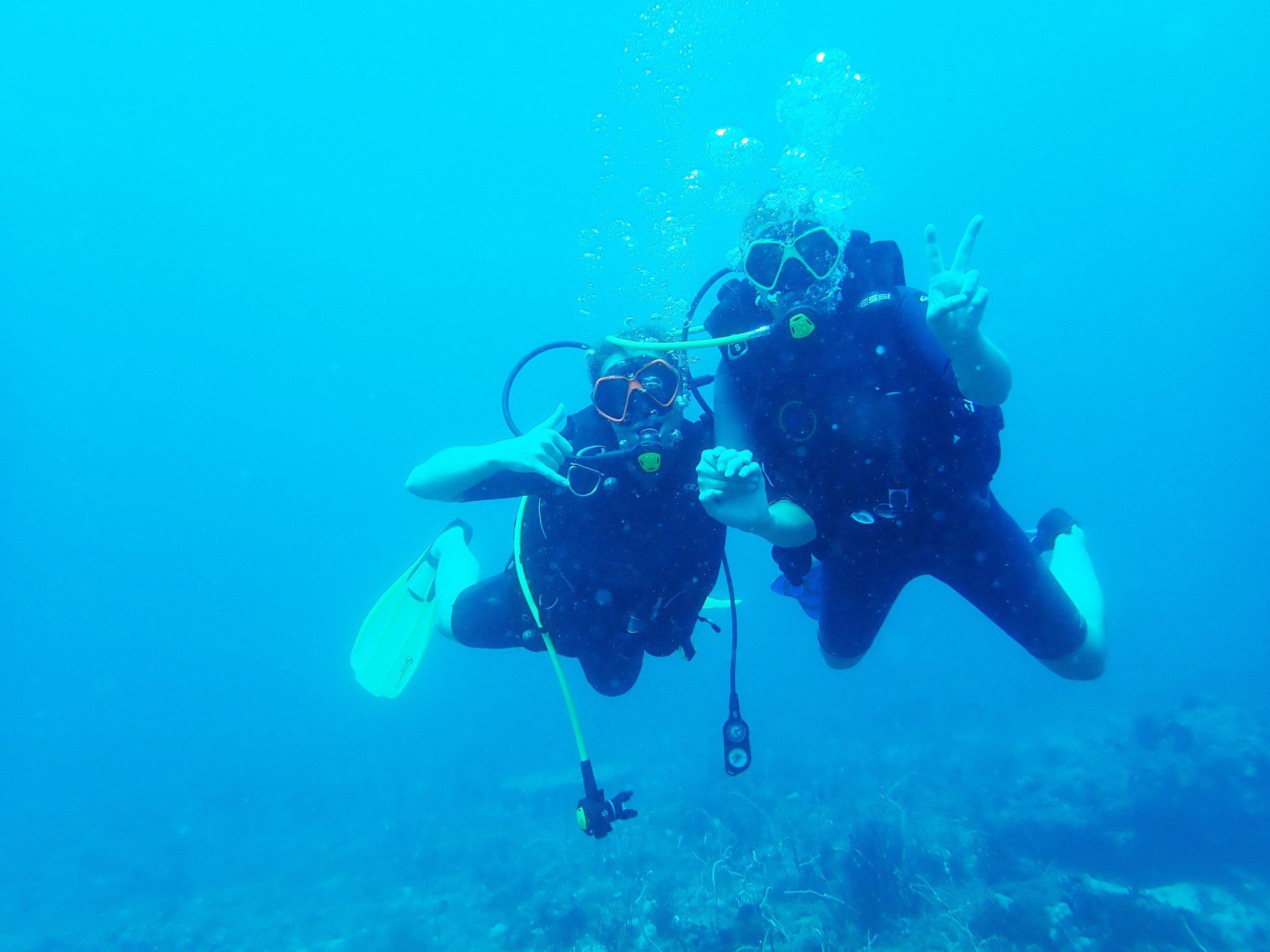 Two scuba divers are swimming in the ocean near a coral reef.