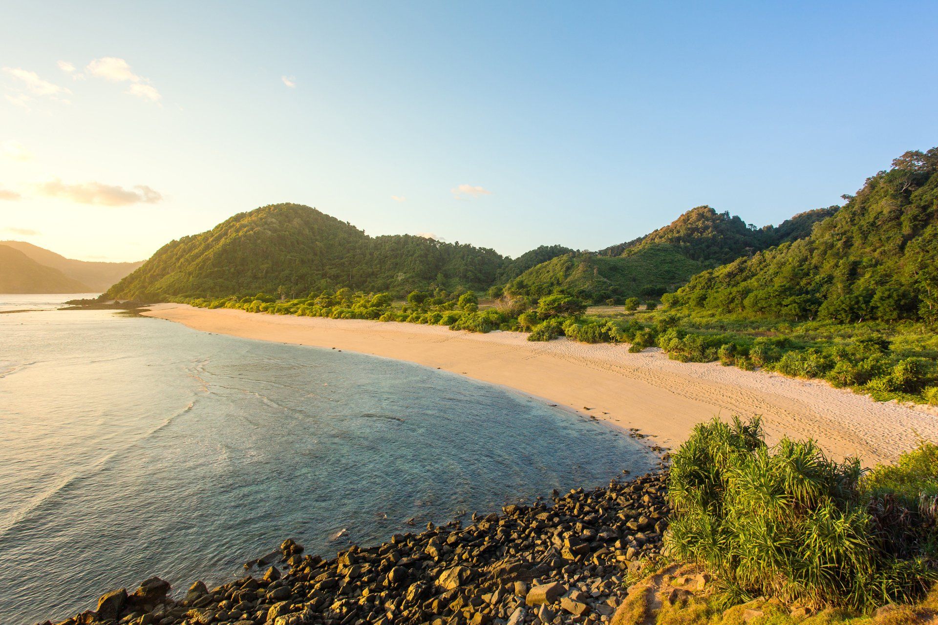 A beach with mountains in the background and trees on the shore