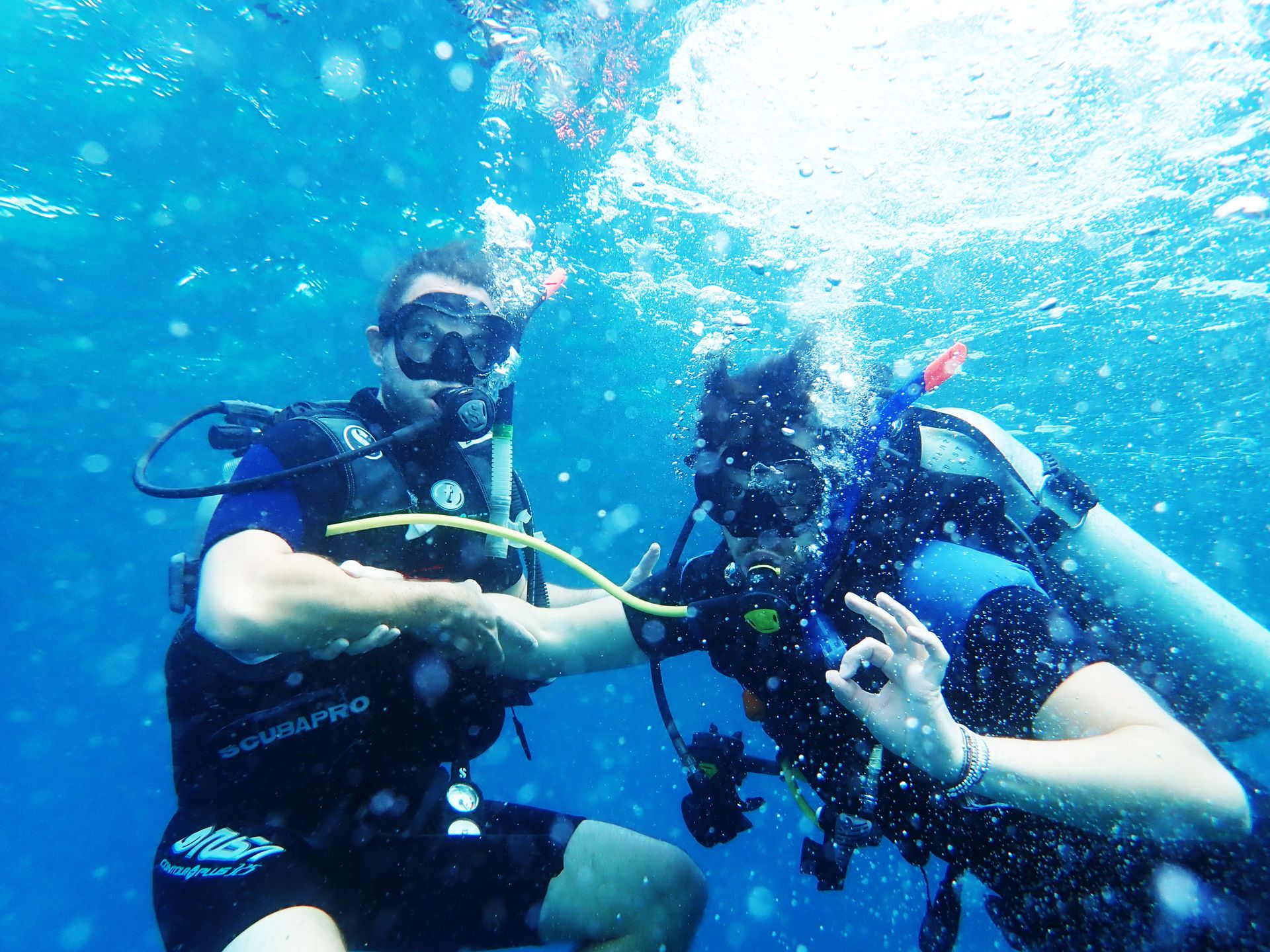 Two scuba divers are holding hands in the water