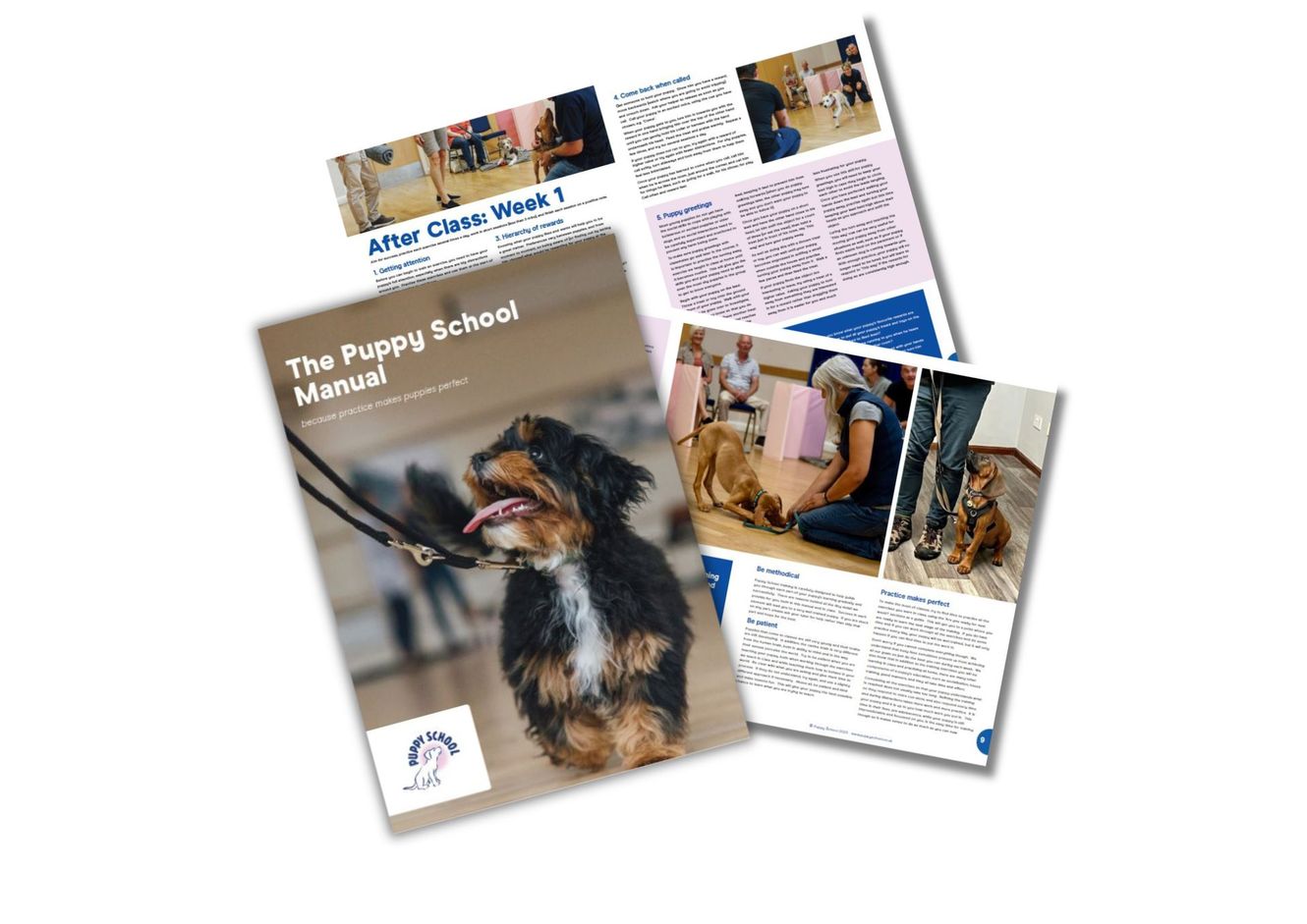 Puppy School Training Manual