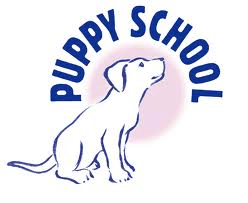 puppy school puppy classes 