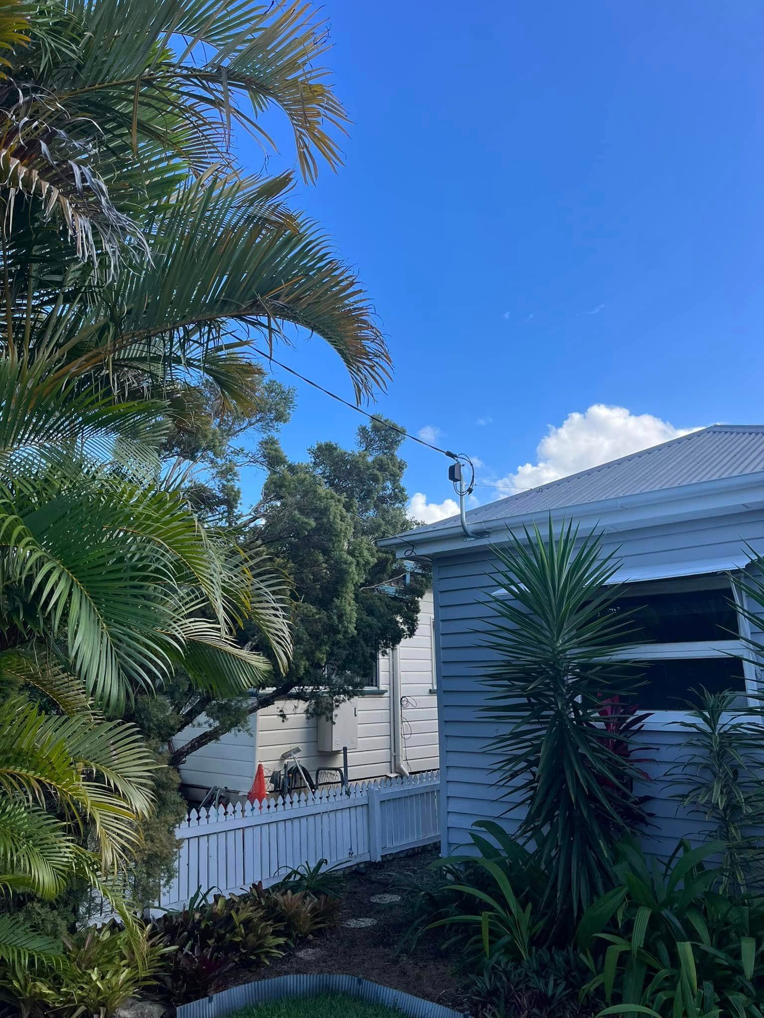 A Blue Sky Above a White House With a Palm Tree — OHMY Electrical Contractors in Carina, QLD