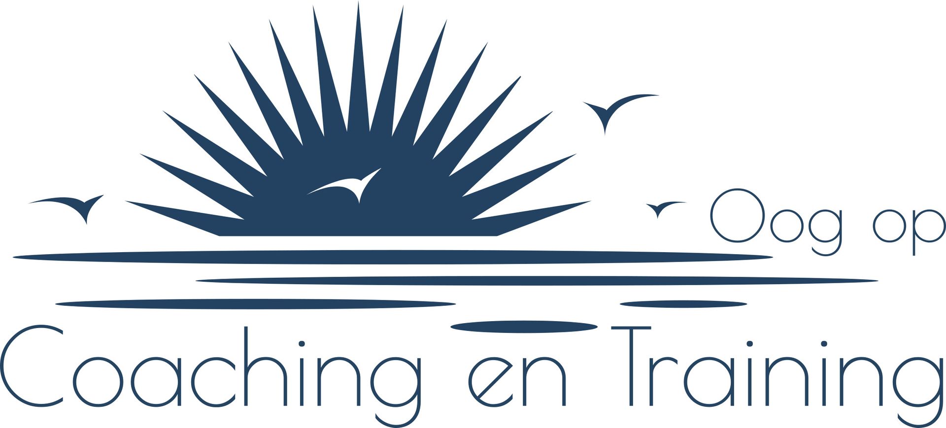 Logo met blauwe zonnestralen, vogels en de tekst