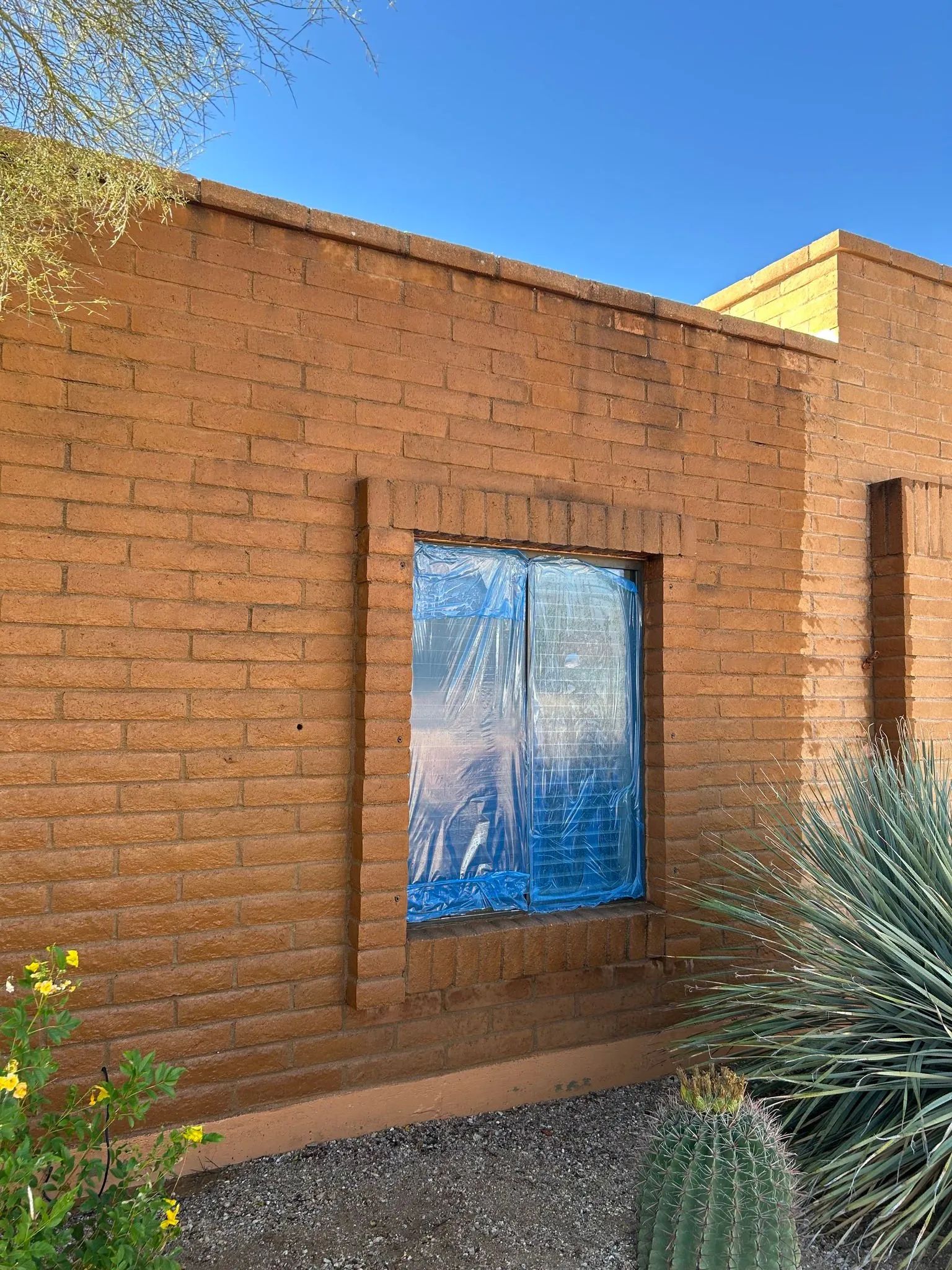 Sunlit adobe wall with a window and blue reflection, surrounded by desert plants.