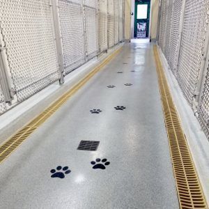 Indoor corridor with chain-link walls and paw prints painted on the floor, leading to a door.