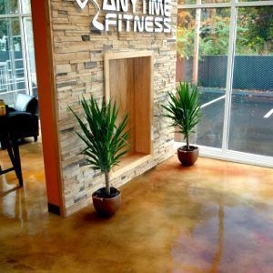 Gym lobby with stone wall, potted plants, and floor-to-ceiling windows.