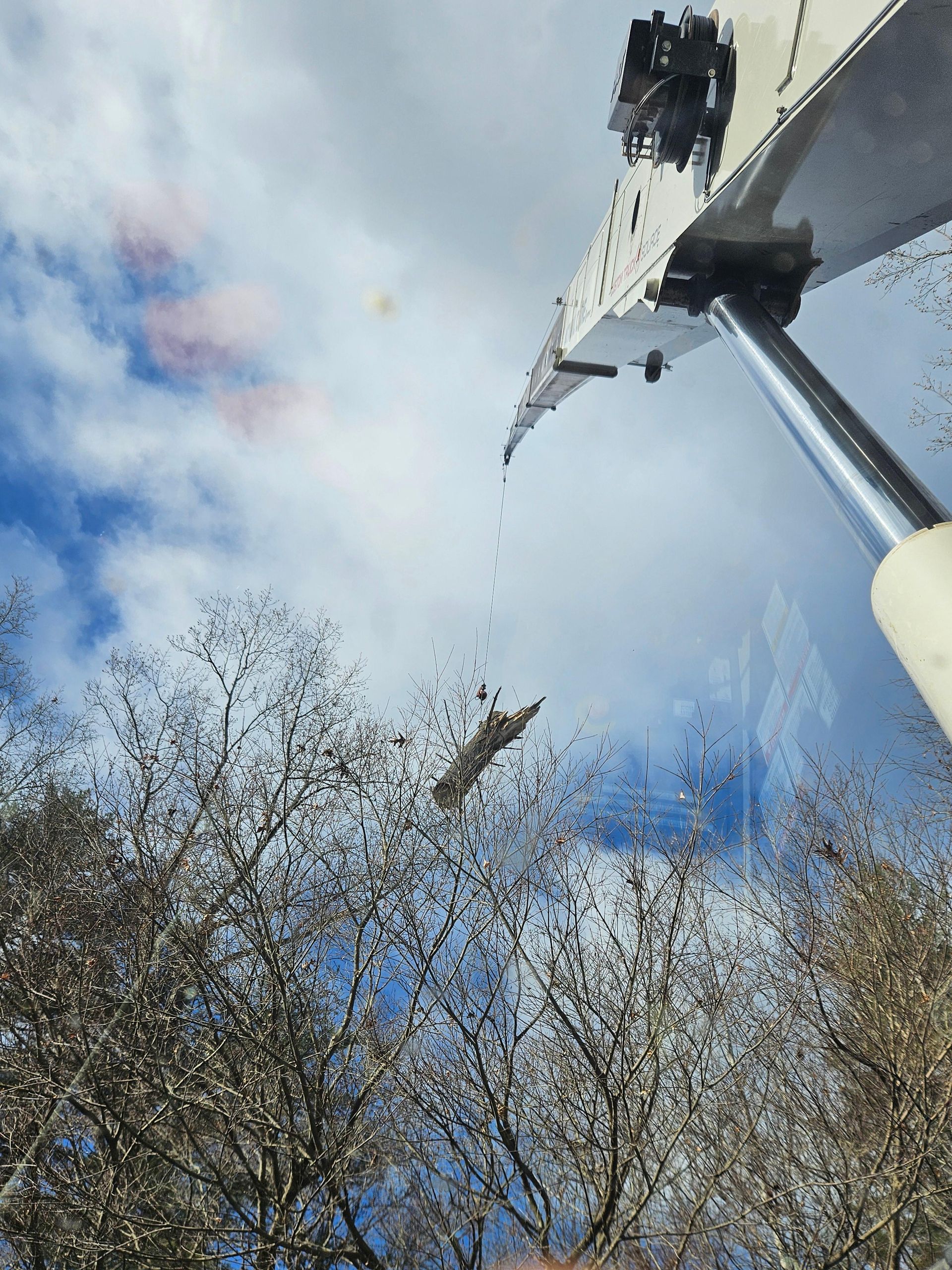Window being cleaned with sky and trees visible through the glass.