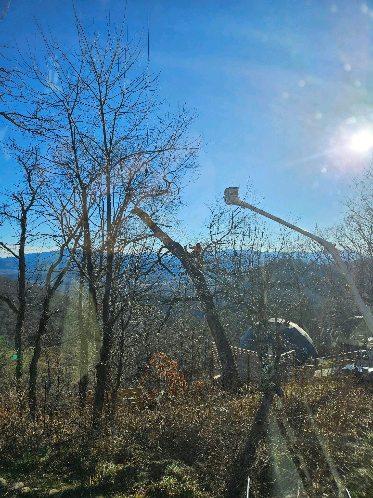 Tree trimming: A lift truck reaches a tree under a bright blue sky. Sunlight. Bare trees on a hillside.