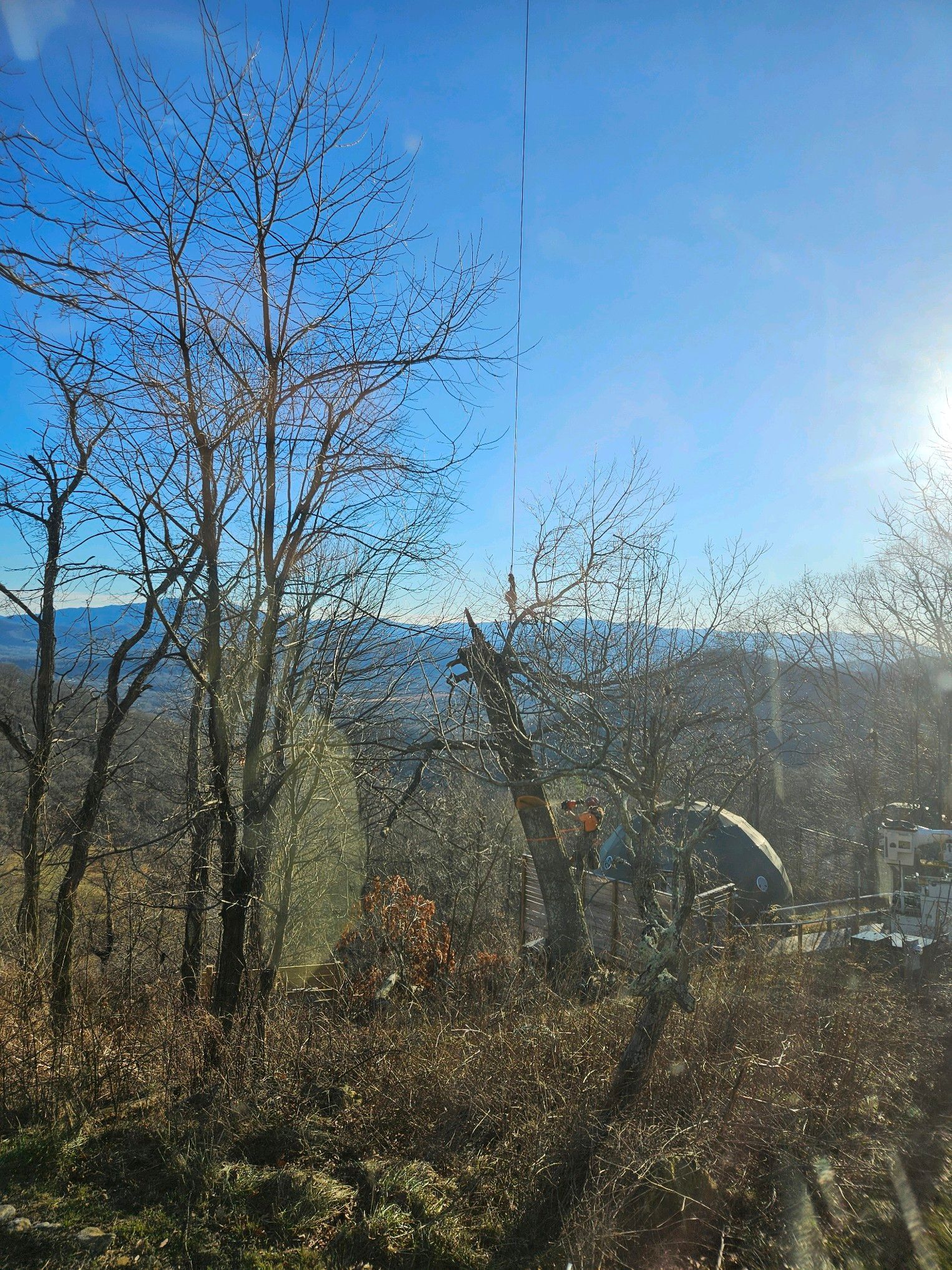 Bare trees against a bright blue sky, viewed through a window with condensation.