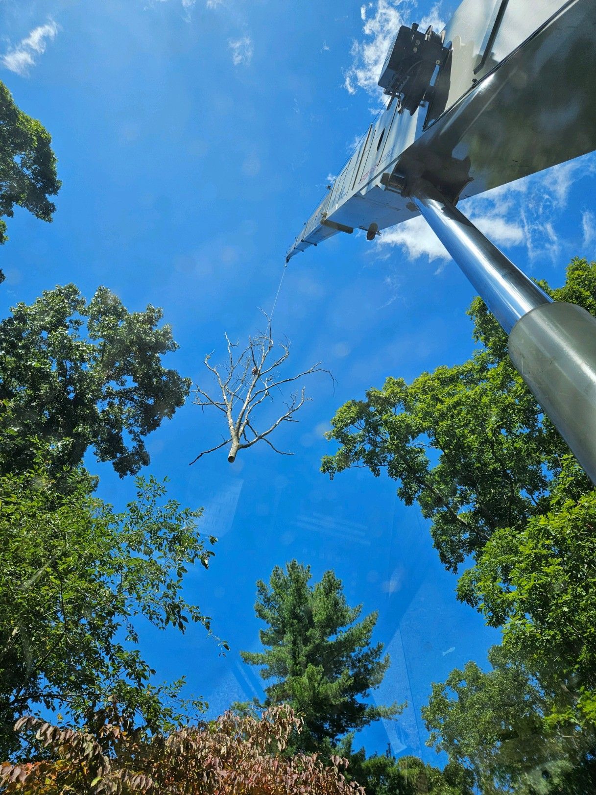View of sculpture and trees against a bright blue sky.