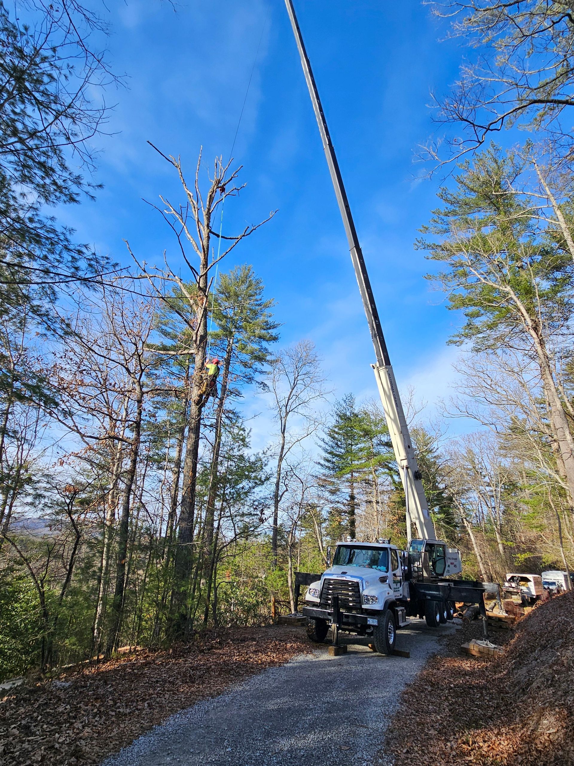 Truck with extended boom lifting, alongside trees on a path under a blue sky.