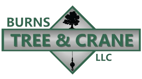 Burns Tree & Crane LLC logo: green text, oak tree silhouette, crane hook icon.