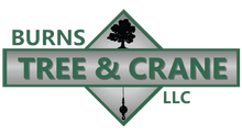Burns Tree & Crane LLC logo: green text, oak tree silhouette, crane hook icon.