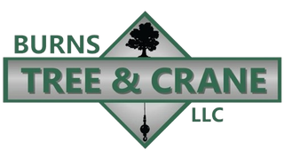 Burns Tree & Crane LLC logo: green text, oak tree silhouette, crane hook icon.