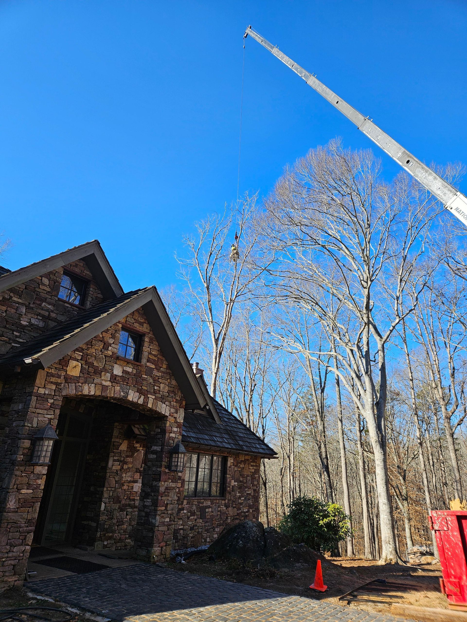 House with stone facade; crane trimming bare tree against blue sky.