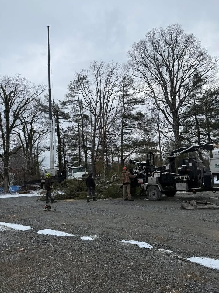 Workers with machinery removing tree branches near a tall tower in a wooded area; some snow on the ground.