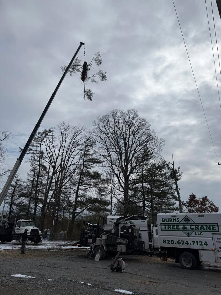 Crane trimming a tree near power lines; Burt's Tree & Crane service truck present, cloudy sky.