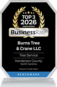BusinessRate Top 3 2026 award for Burns Tree & Crane LLC, tree service, Henderson County, North Carolina