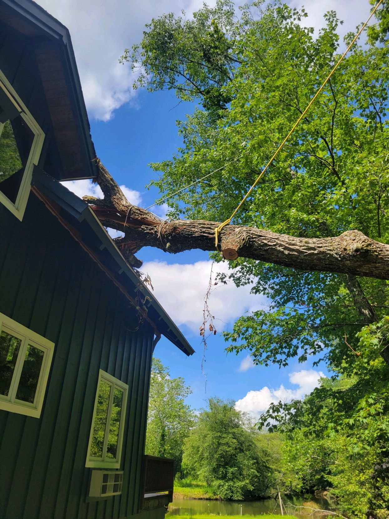 A tree branch rests on a dark green building's roof; a yellow rope secures it. Sunny day, blue sky.