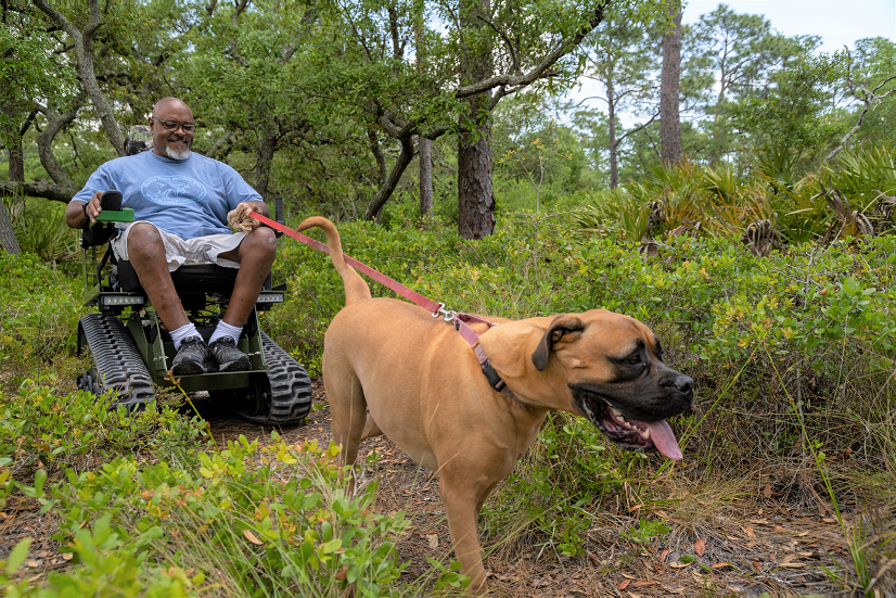 A man in a wheelchair is walking a dog in the woods.