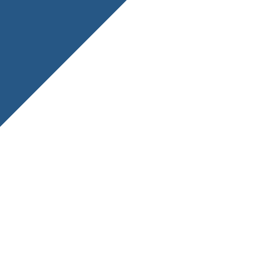 Blue triangle in upper left corner, white background.