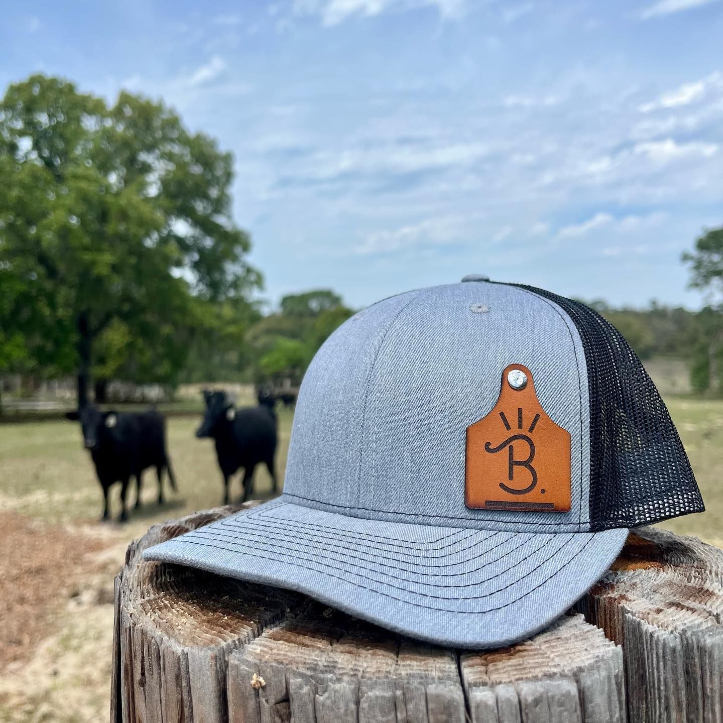 Gray baseball cap with orange leather patch on a tree stump, with cows and trees in the background.