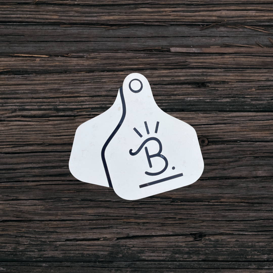 White cutout tag with a hand-drawn “B” on dark wooden surface