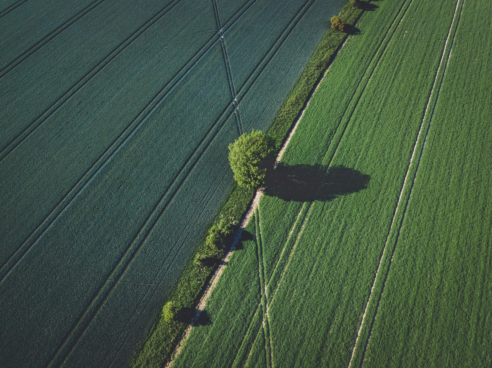 Herstellende landbouw als alternatief