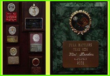 Traditional Plagues — Jacksonville, FL — Trophy Magic and Etch Masters