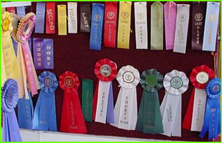 Ribbons Prodcuts — Jacksonville, FL — Trophy Magic and Etch Masters