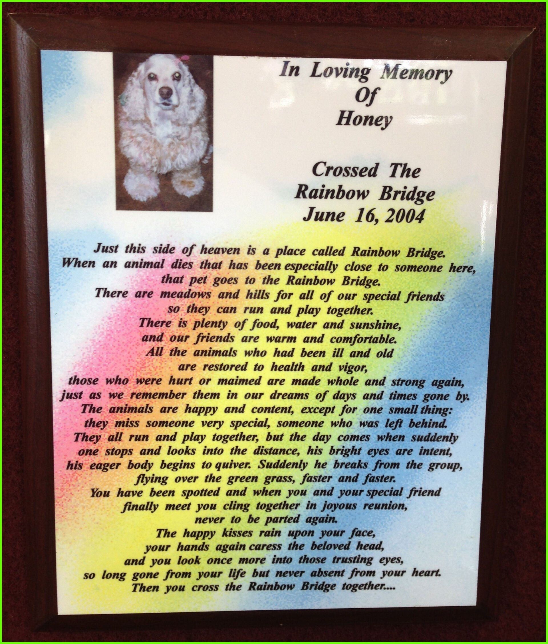 Pet Memorials Prodcuts — Jacksonville, FL — Trophy Magic and Etch Masters