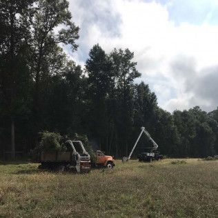 Three trucks in a grassy field; one with a crane, one with a dump bed, the other orange. Trees in the background.