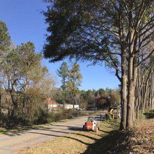 Roadside view with trees, clear sky, and a Bobcat machine trimming foliage.