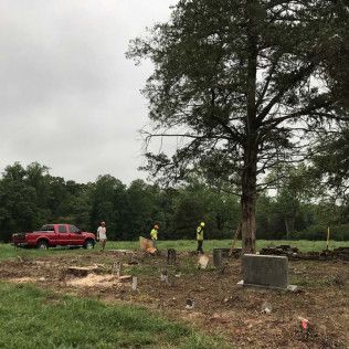 Tree removal in a field; red truck and workers wearing safety vests are present. Overcast sky.
