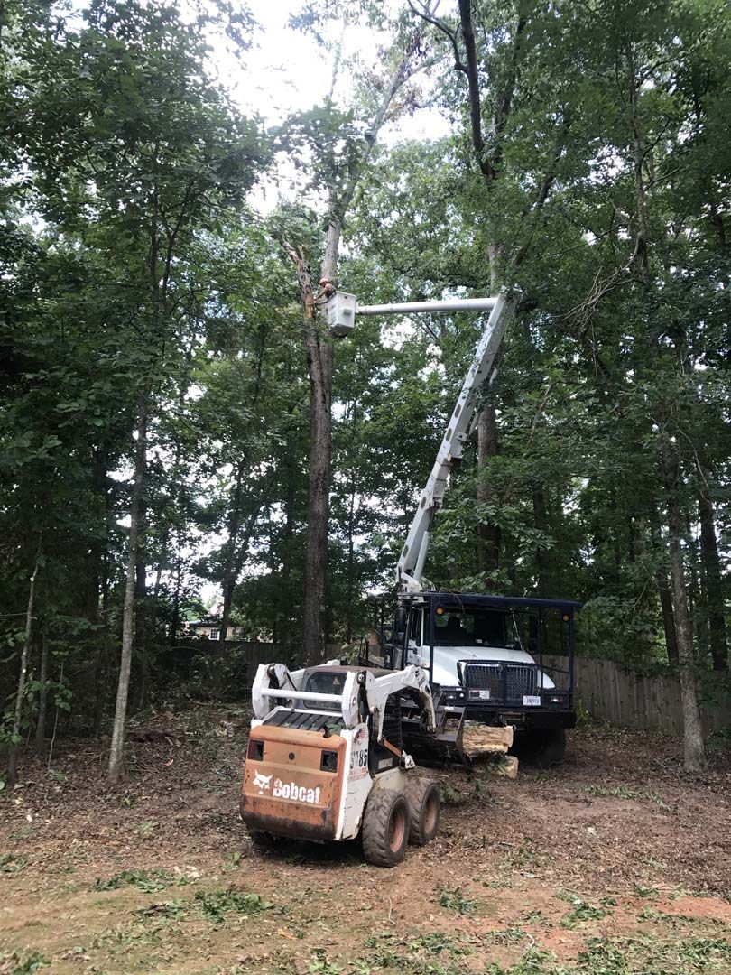 Bucket truck trimming tree in wooded area; skid-steer loader nearby.