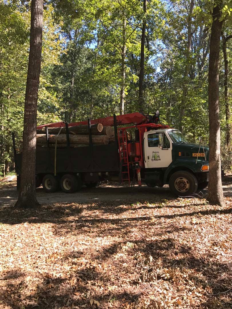 A large green and white work truck parked in a wooded area with trees.