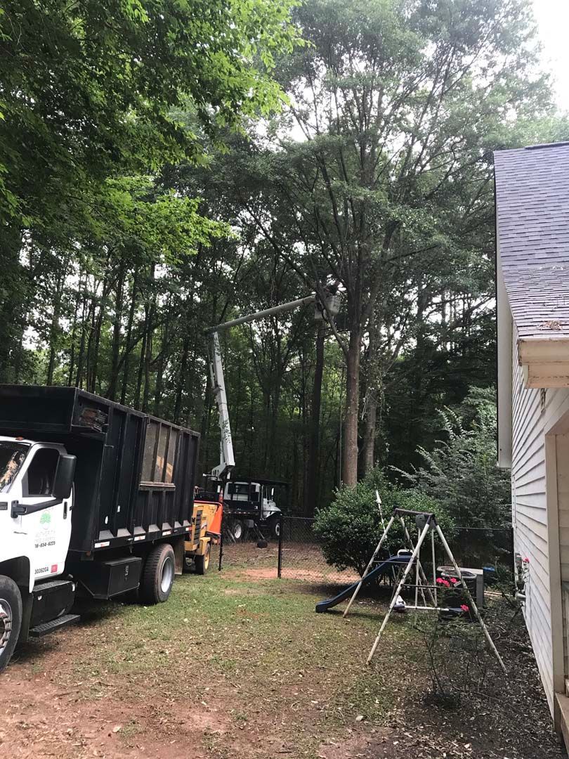 Tree service: a truck and workers are trimming a tall tree in a yard.