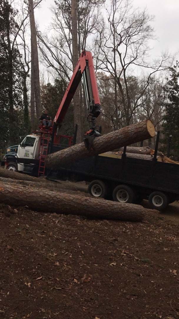 Truck with a crane loading logs into a bed, outdoors.