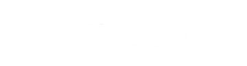 Mostly blank white image with a thin light-blue horizontal line near the top and a small dark mark on the right