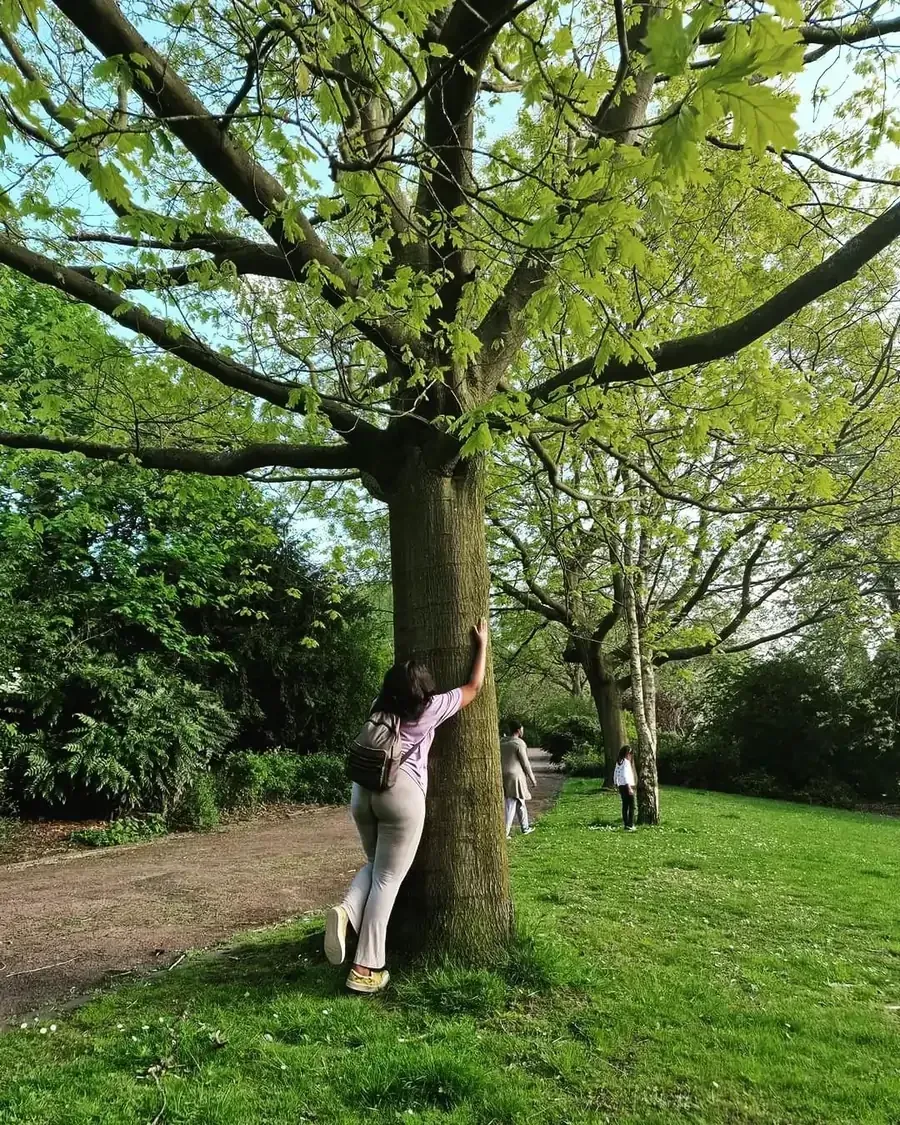 Woman hugging a tree in a park with green grass, paths, and other trees.