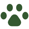dog friendly
