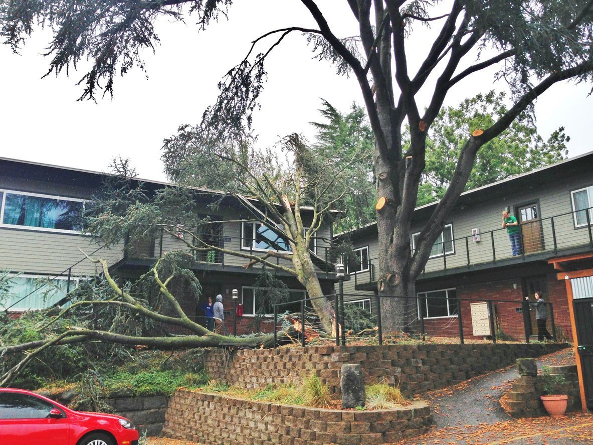 apartment building with a downed tree due to storm damage
