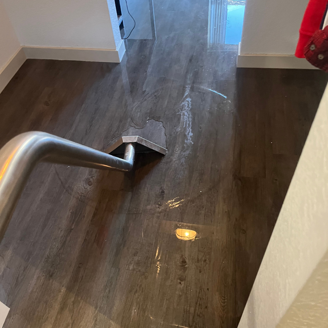 Professional water extraction removing standing water from hardwood floor in Denver home using specialized drying equipment