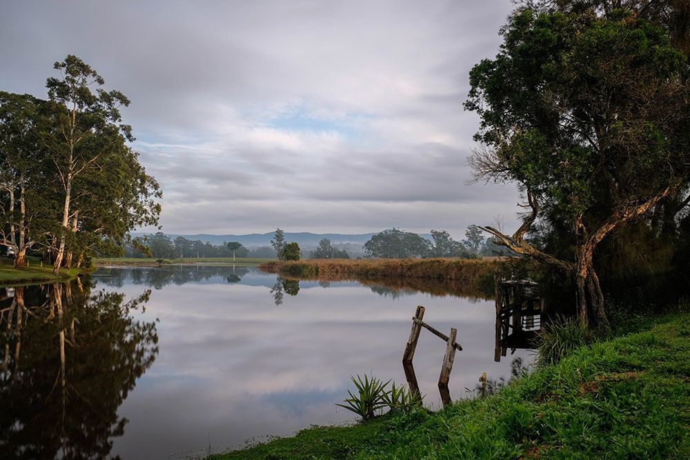 A Lake Surrounded by Trees and Grass on A Cloudy Day — ShedPro Constructions in Bulahdelah, NSW